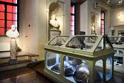 museo di storia naturale bologna 8-2022 4146